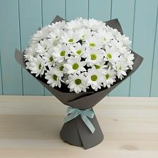 Букет цветов из:  Хризантемы в Тоншалово