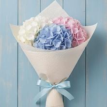 Букет цветов из:  Гортензия в Тоншалово