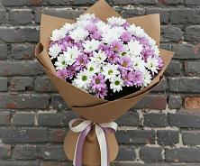 Букет цветов из:  Хризантемы в Тоншалово