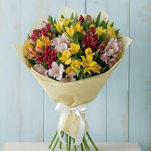 Букет цветов из:  Альстромерии в Тоншалово