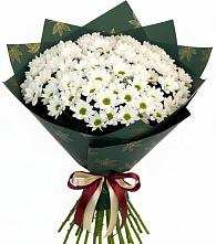 Букет цветов из:  Хризантемы в Тоншалово