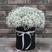 Цветочная композиция из Гипсофила в шляпной коробке в Тоншалово