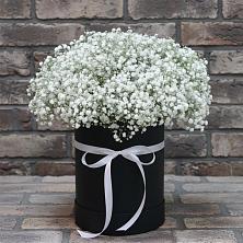 Цветочная композиция из Гипсофила в шляпной коробке в Тоншалово