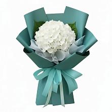 Букет цветов из:  Гортензия в Тоншалово